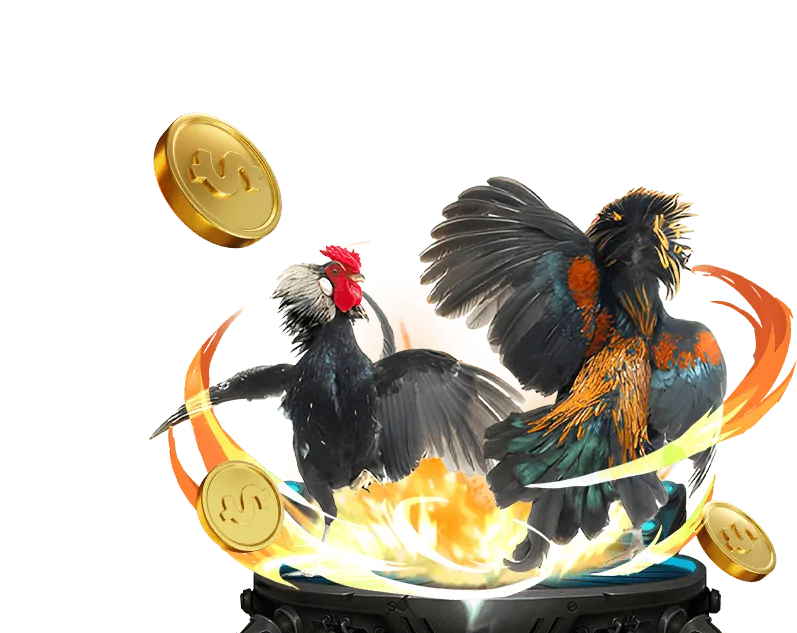 Hoàn Trả Hàng Ngày 789club casino